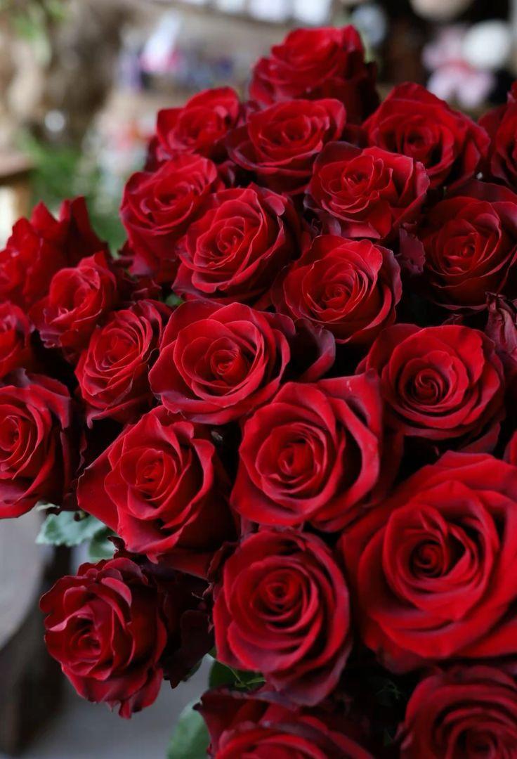 Grove Quay Studio workshop space where corporate flower arrangements are designed and prepared for business delivery